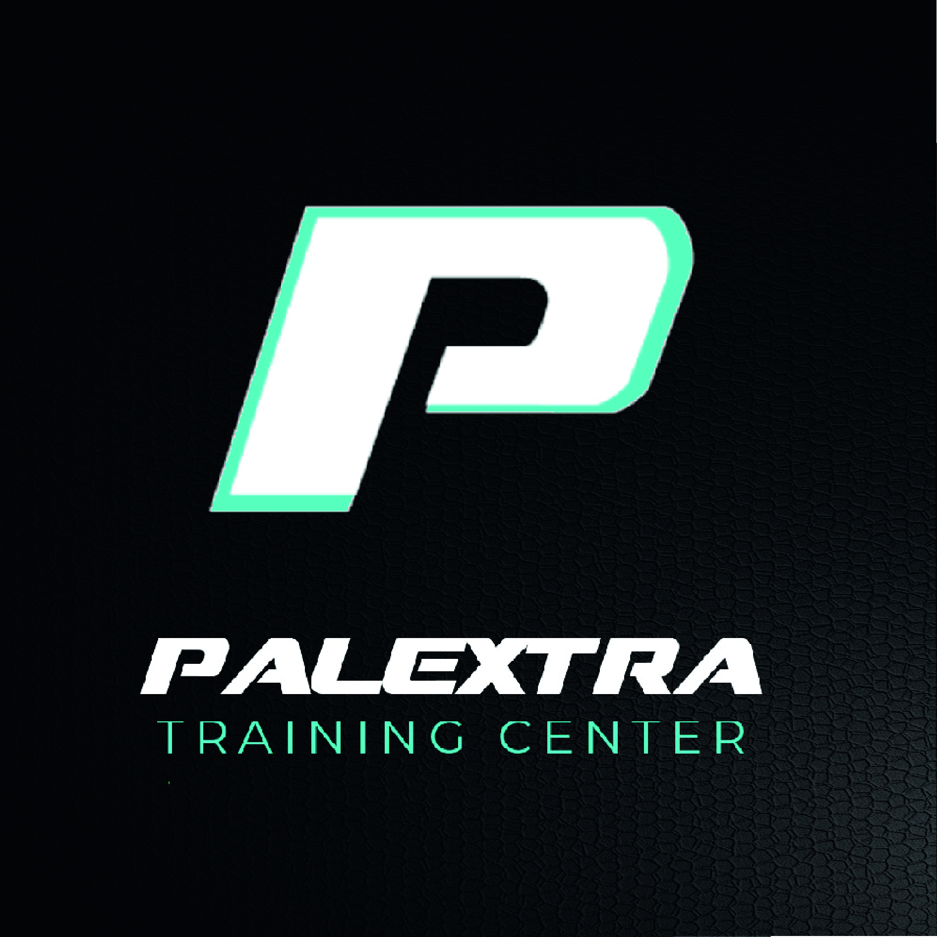 Palextra Online